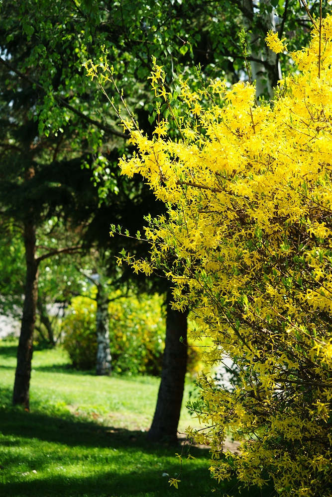 3+DSC01088.jpg