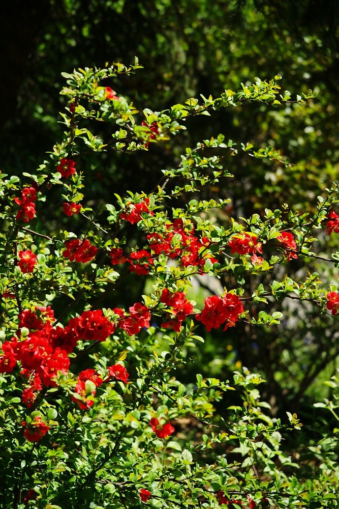 3+DSC01089.jpg