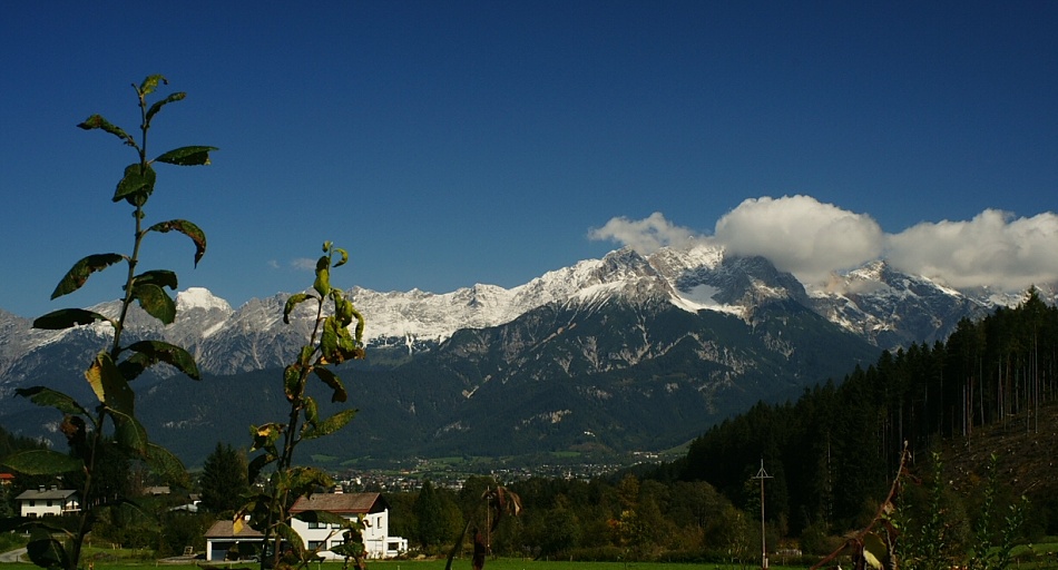 2aDSC00542.jpg