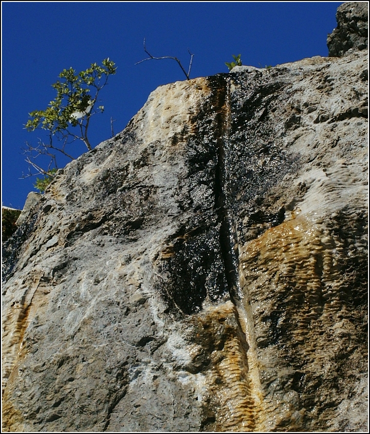 aDSC00481.jpg