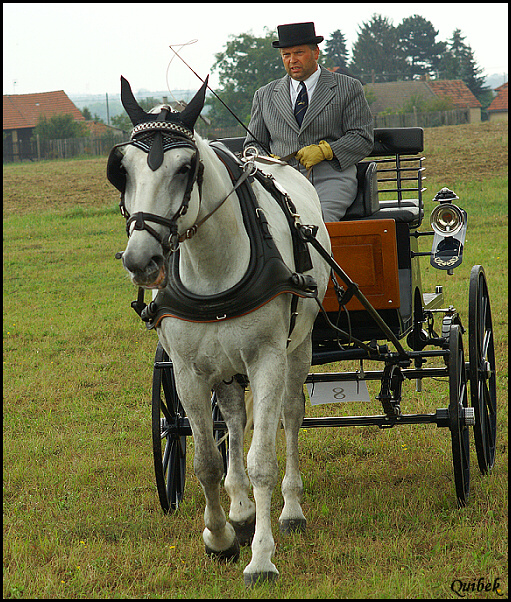 aDSC00553a.jpg